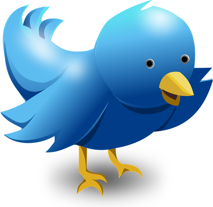Comment débuter sur Twitter ?