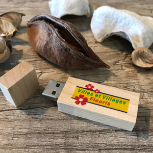 cle usb personnalisable