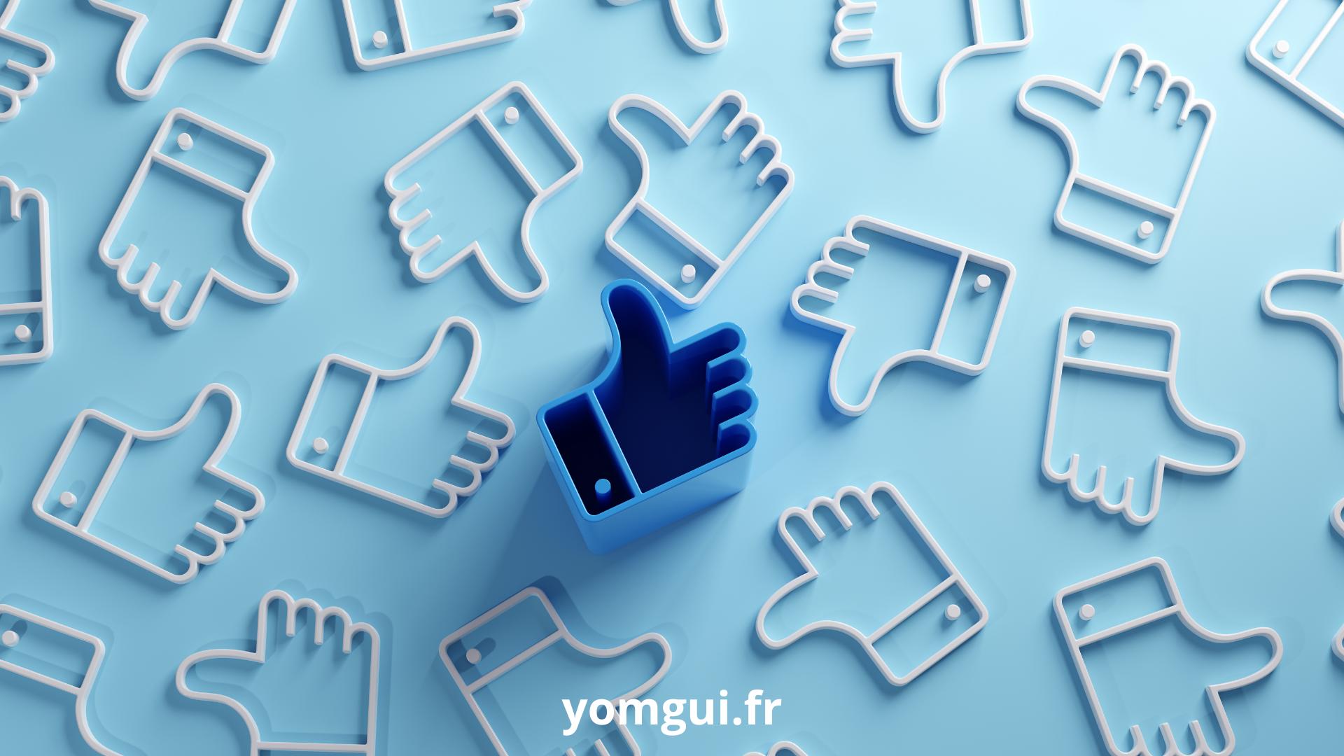 réseaux sociaux